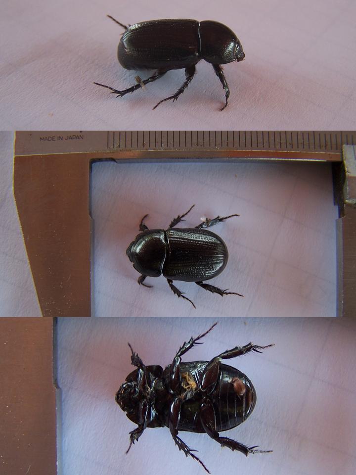 FIGURE 9 FIGURE 9